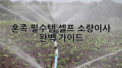 📦혼족 필수템! 셀프 소량이사 완벽 가이드 🚚💨